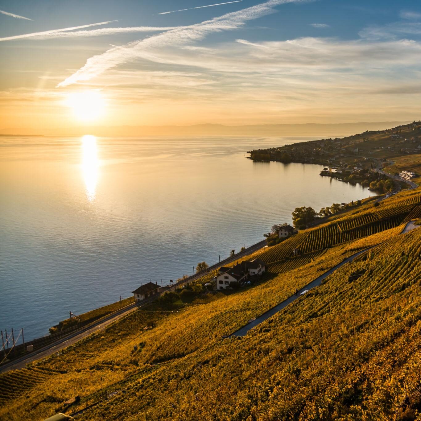Lavaux vineyards by Lake Geneva, Switzerland