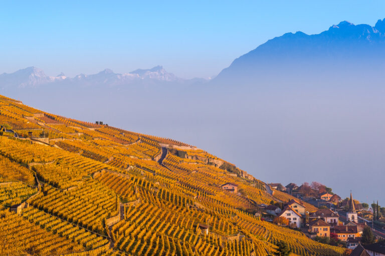 Lavaux vineyards overlooking Lake Geneva at sunset, romantic proposal location in Switzerland