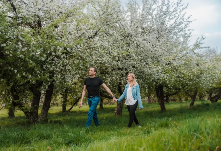 couple walking while holding hands in an apple orchard in full bloom