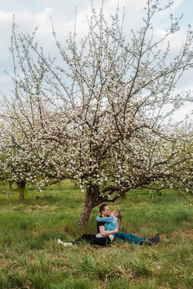 wide shot of a couple sitting on a blanket hugging under an apple tree in full blossom