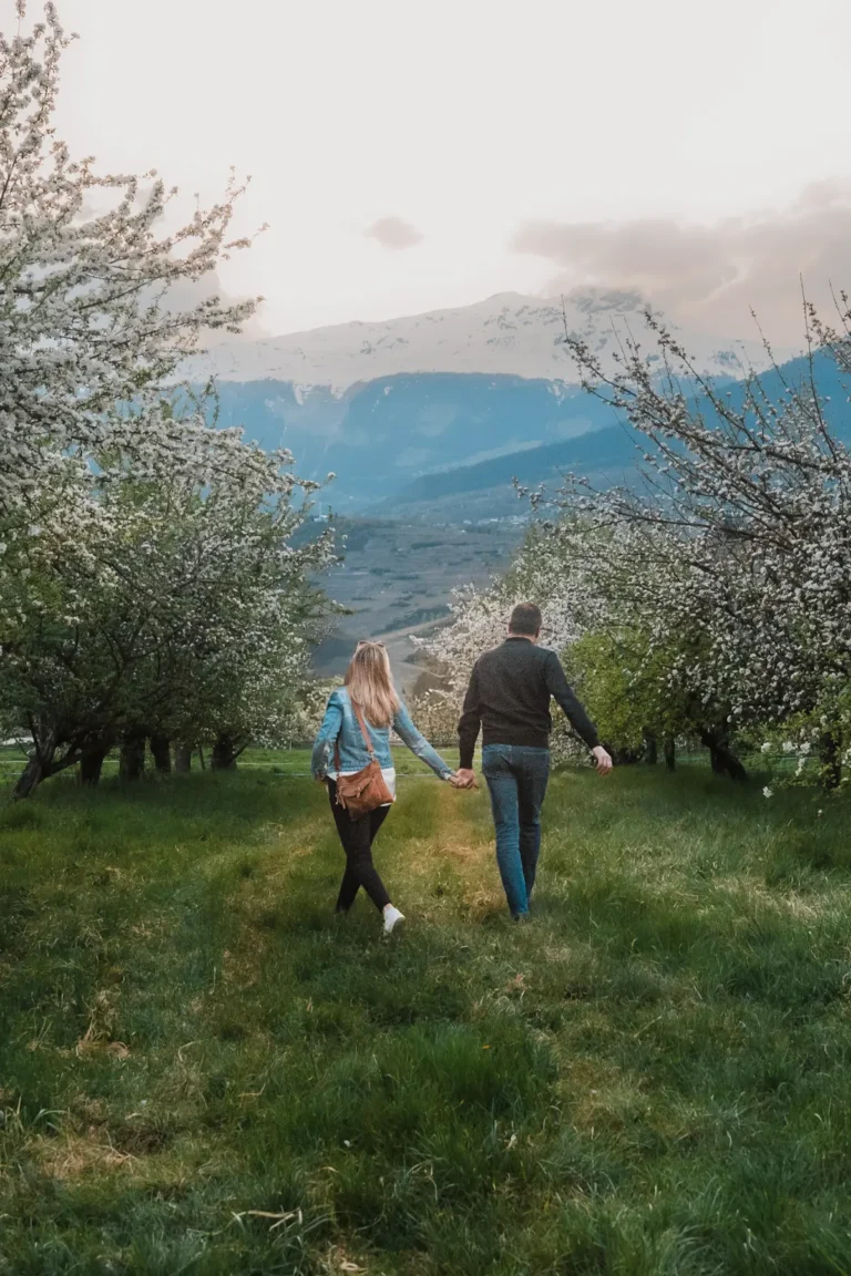 couple exploring an apple orchards in full blossom in switzerland