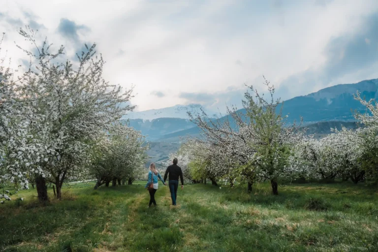 couple walking in an apple orchards in wallis