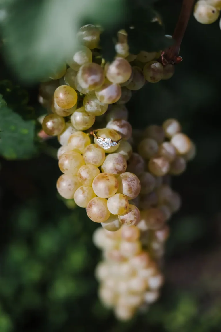 ring details after a surprise proposal in the lavaux vineyards in switzerland