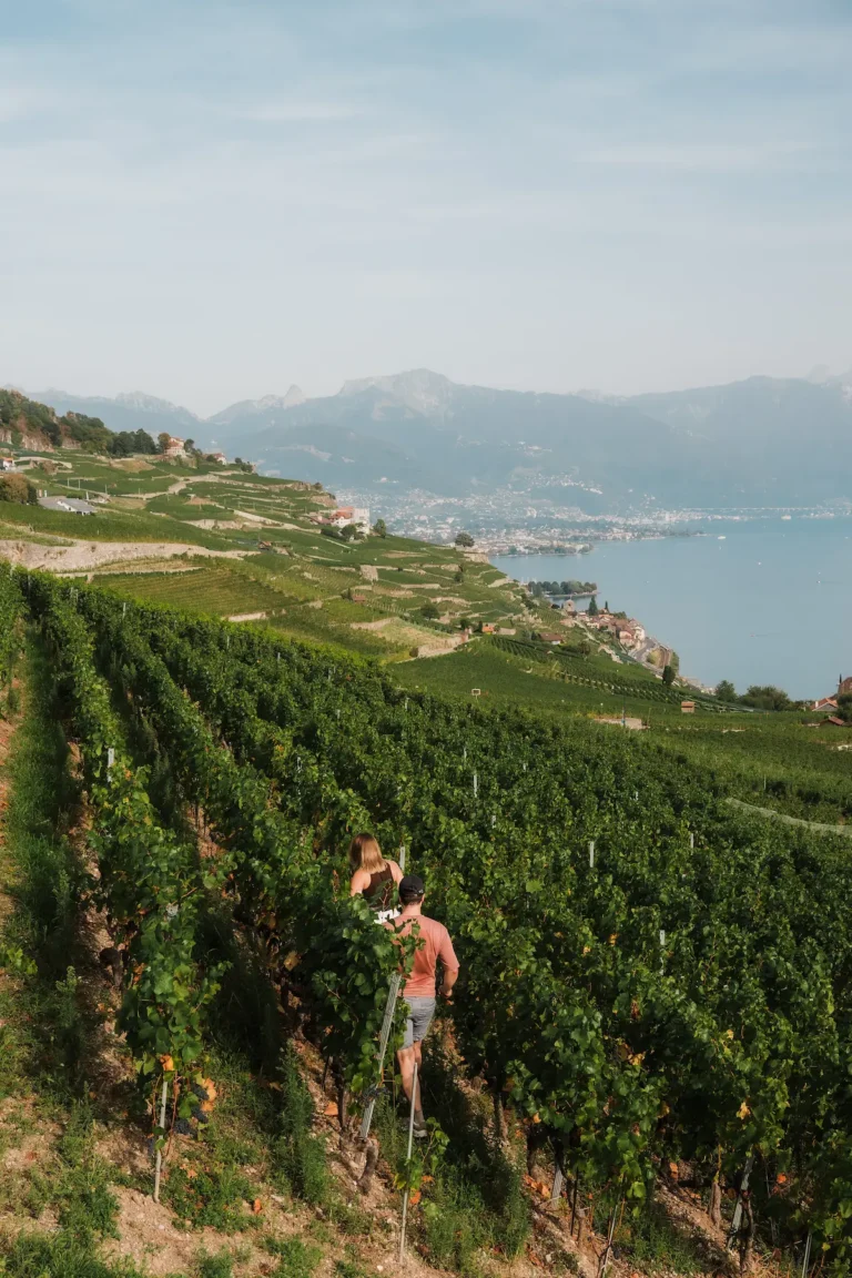 Dimitris and Alisa walking hand in hand through the sunlit vineyards of Lavaux.