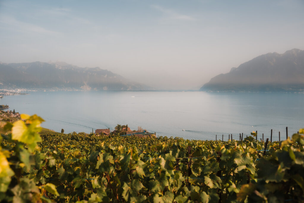 Lavaux vinyards beside Lake Geneva